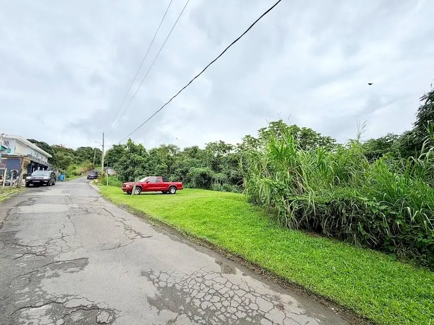 Las Piedras, Las Piedras, PR 00771 - #2