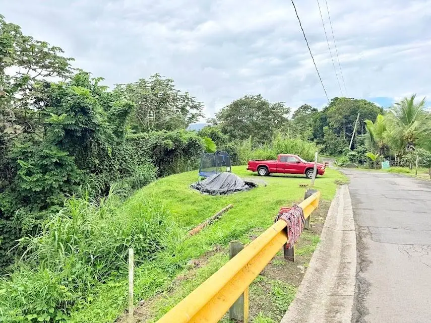 Las Piedras, Las Piedras, PR 00771 - #3