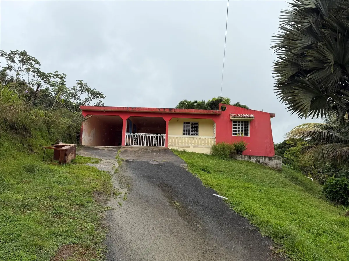 917 CARR KM 6.0 Bo Montones, Las Piedras, PR 00771 - #1