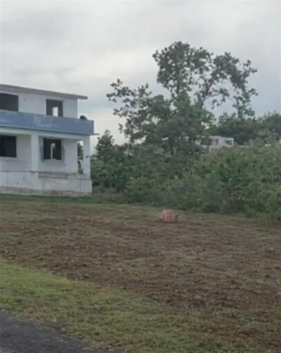 Colinas de Palmarito Bo. Hato Abajo, Arecibo, PR 00612 - #3