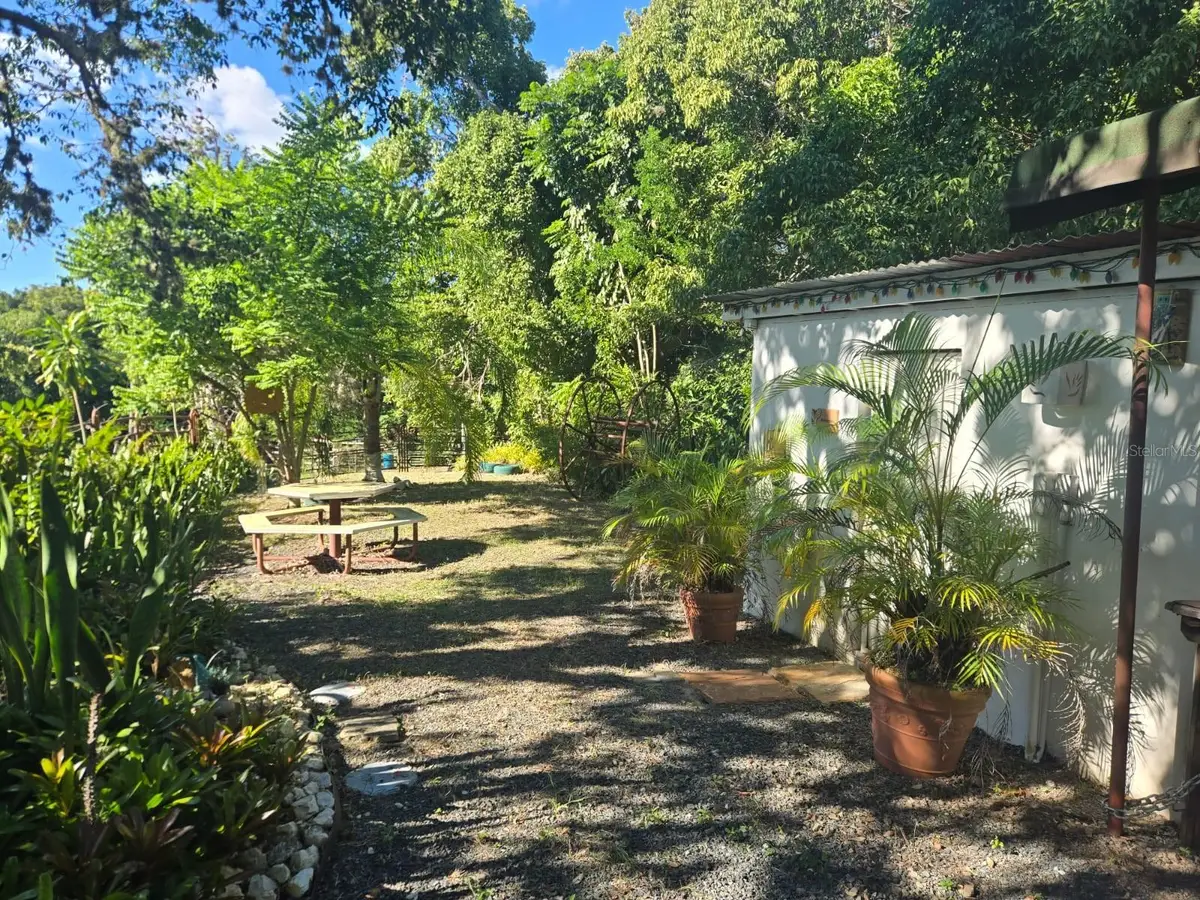 Bo. Llanos Tuna, Sector Las Magas, Cabo Rojo, PR 00623 - #1