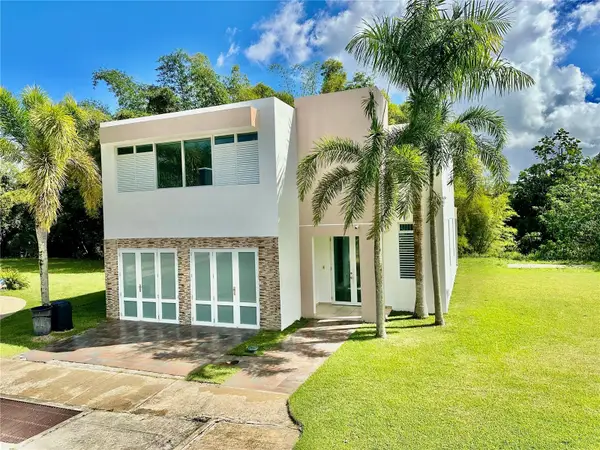 Cerro Ceiba, Esperanza 19 Cerro Ceiba, Esperanza 19, JUNCOS, PR 00777