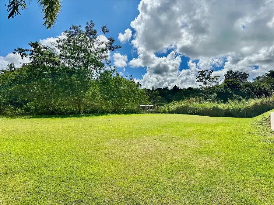 Cerro Ceiba, Esperanza 19 Cerro Ceiba, Esperanza 19, Juncos, PR 00777 - #3