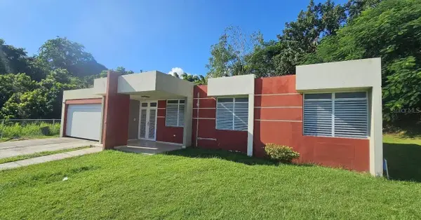 Lot 12 Cerro Ceiba, JUNCOS, PR 00777
