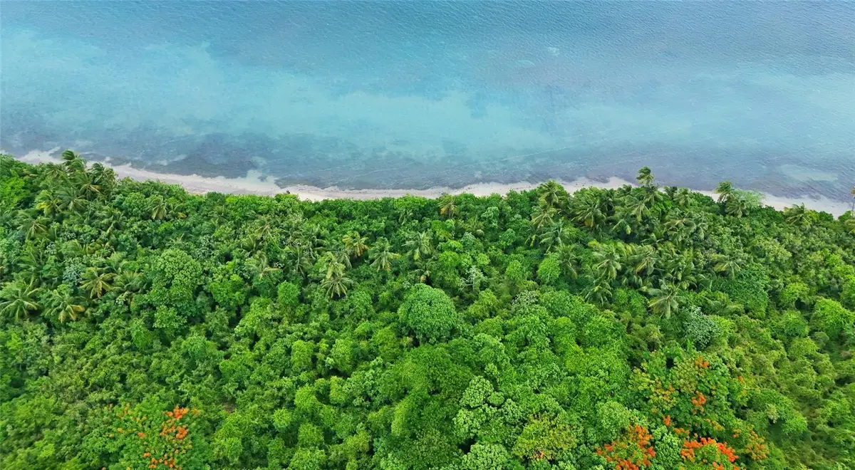 Punta Arenas Puerto Real, Vieques, PR 00765 - #1