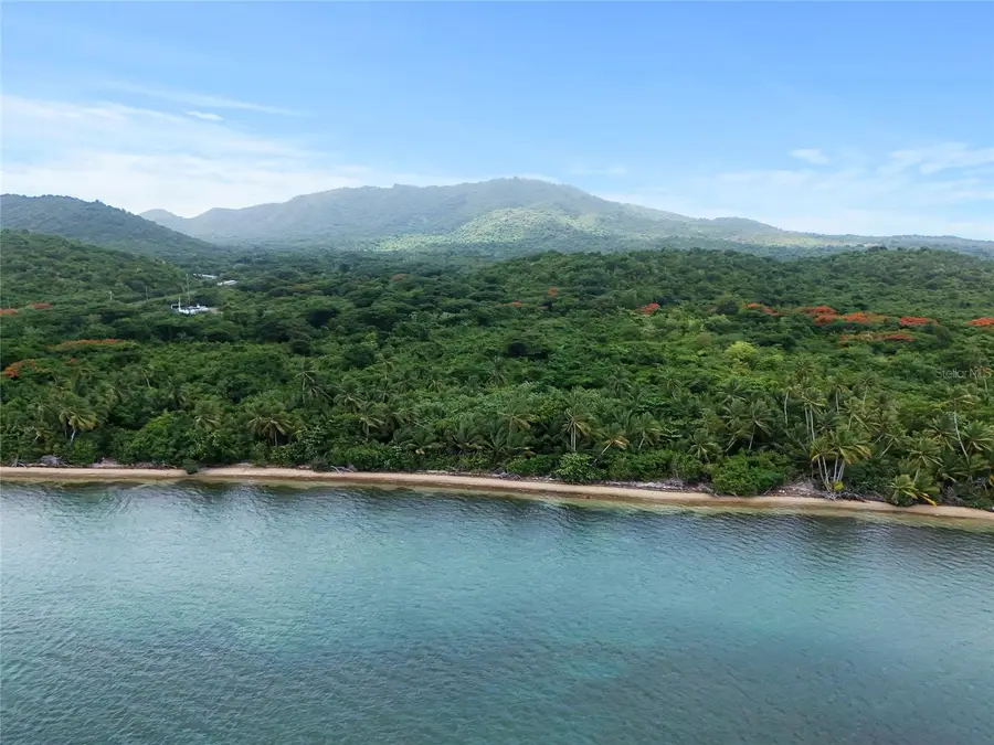 Punta Arenas Puerto Real, Vieques, PR 00765 - #3