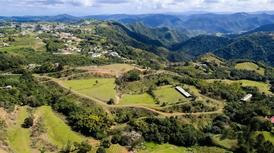 Road 152 Camino Las Orquideas Road, Barranquitas, PR 00794 - #2