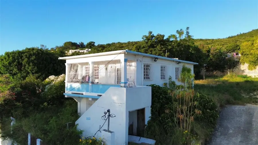 2 Calle #2 Casa 103 Peuelas Tallaboa Encarnacion, Penuelas, PR 00624 - #2