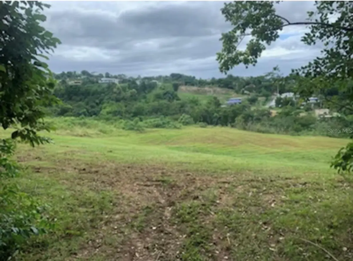 413 Cuchillo Barrio Puntas, Rincon, PR 00677 - #1