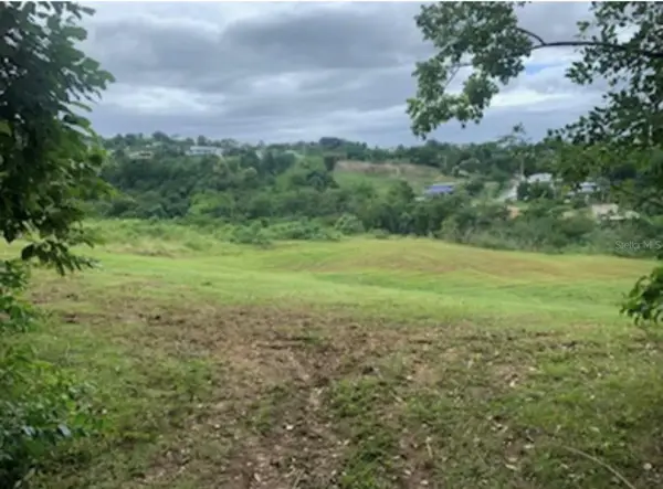 413 Cuchillo Barrio Puntas, RINCON, PR 00677