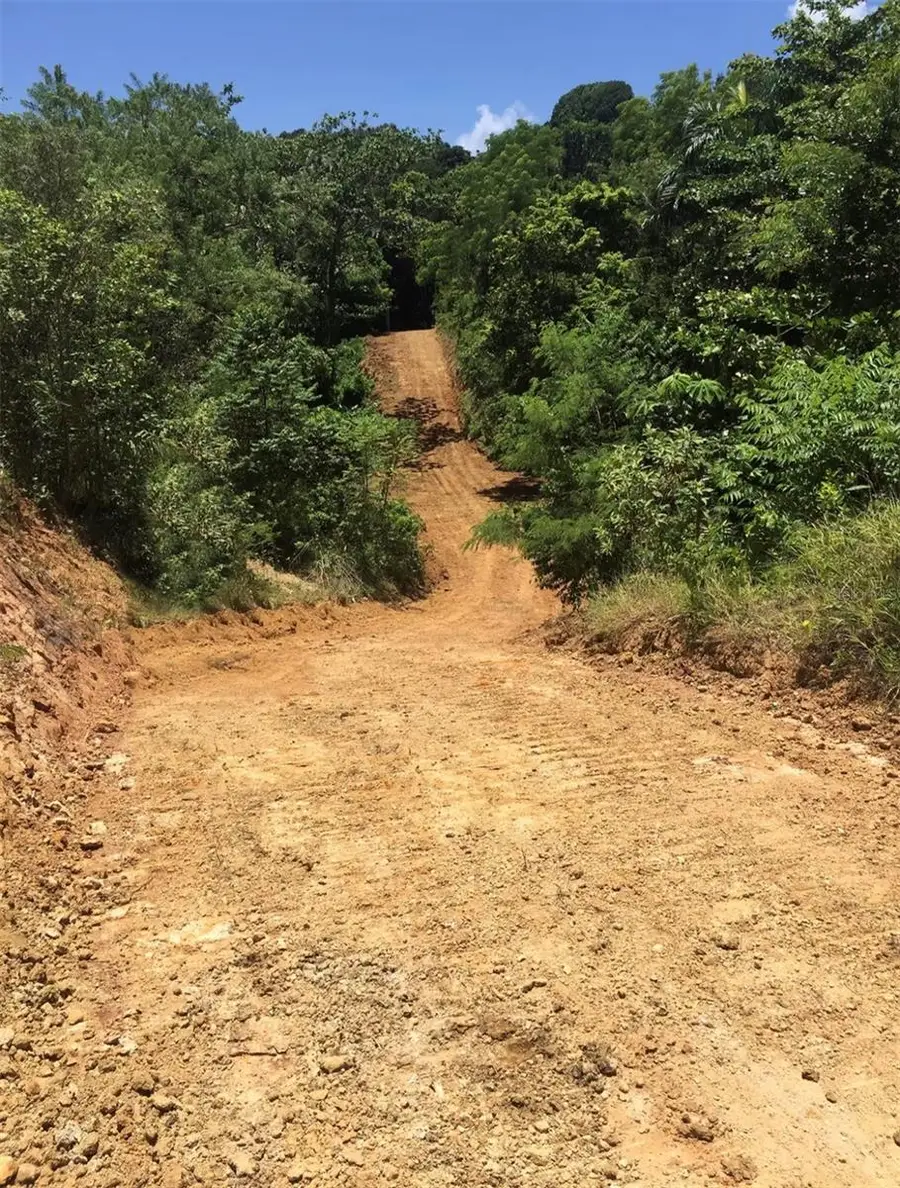 413 Cuchillo Barrio Puntas, Rincon, PR 00677 - #3