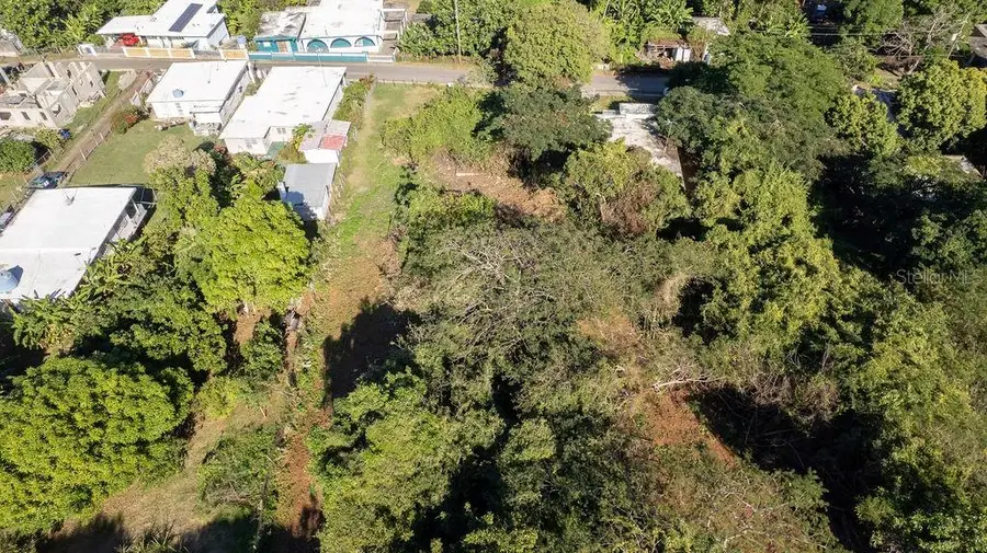 109 Santa Mara, Vieques, PR 00765 - #3