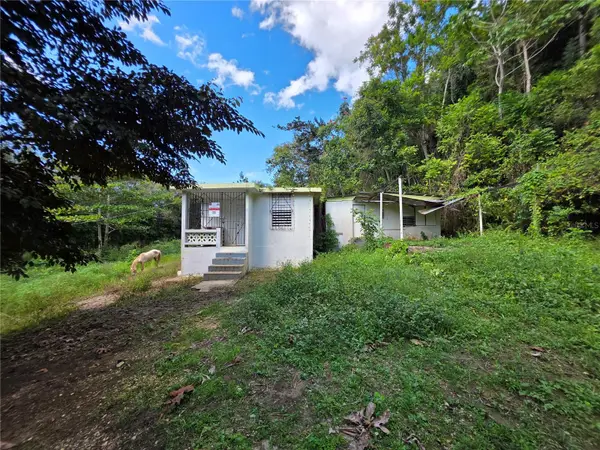 628 Bo Montana, Sect. Arsuaga, ARECIBO, PR 00612