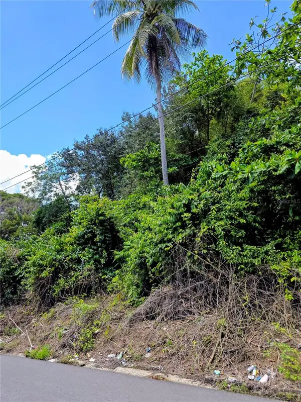 Bo Quebrada Cruz, TOA ALTA, PR 00953
