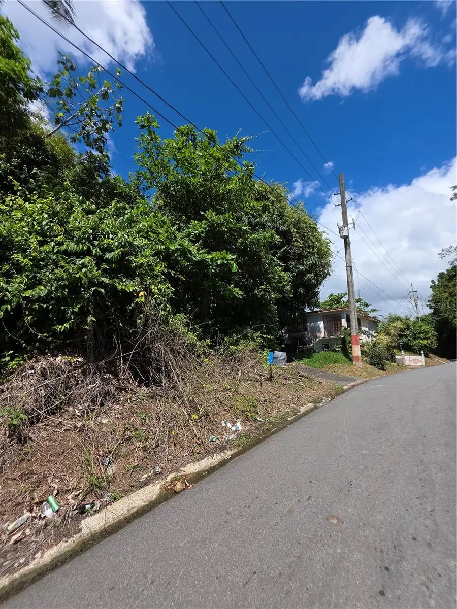 Bo Quebrada Cruz, Toa Alta, PR 00953 - #2