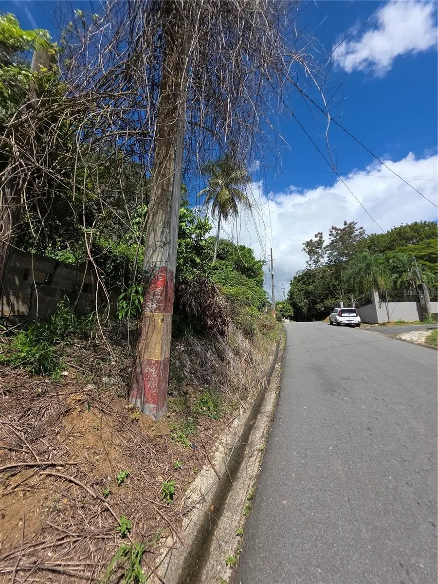 Bo Quebrada Cruz, Toa Alta, PR 00953 - #3