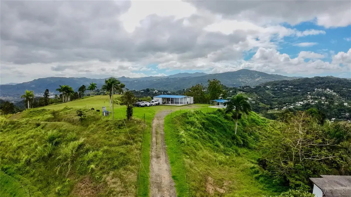 7784 Caaboncito, Caguas, PR 00725 - #1