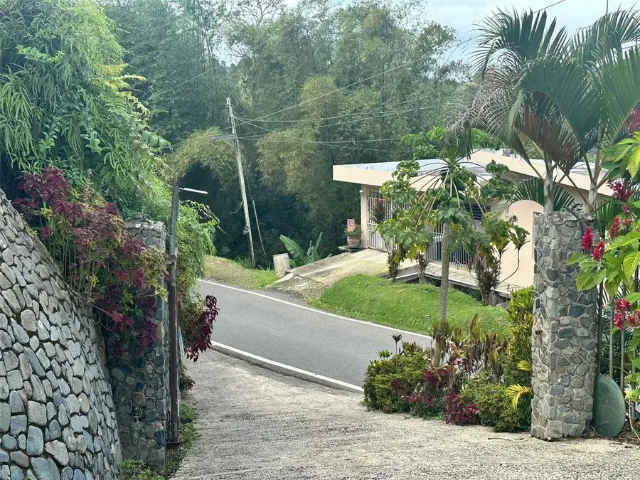 795 Bairoa, Aguas Buenas, PR 00703 - #3
