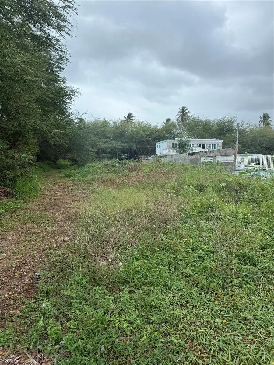 Calle Santillana, Loiza, PR 00772 - #2