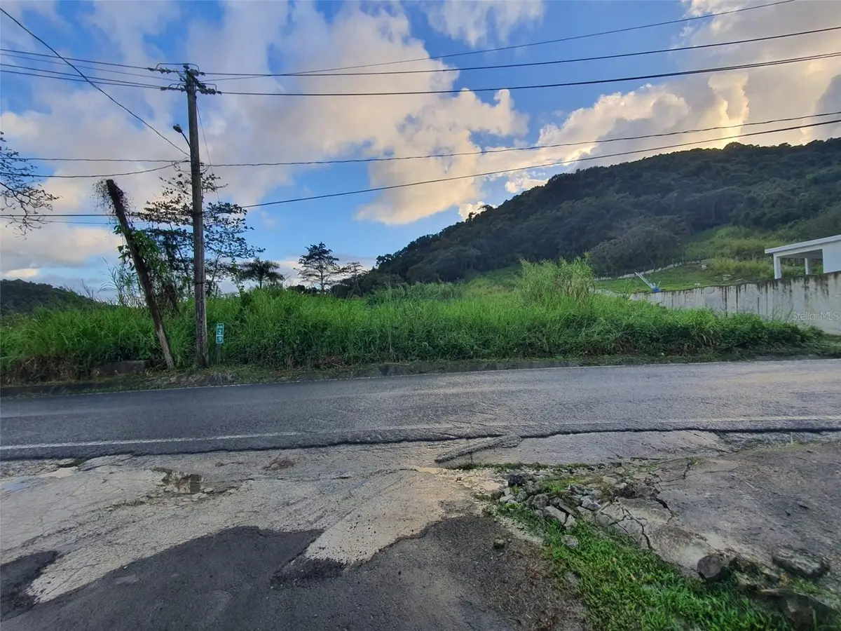 Carr 191, Naguabo, PR 00718 - #1