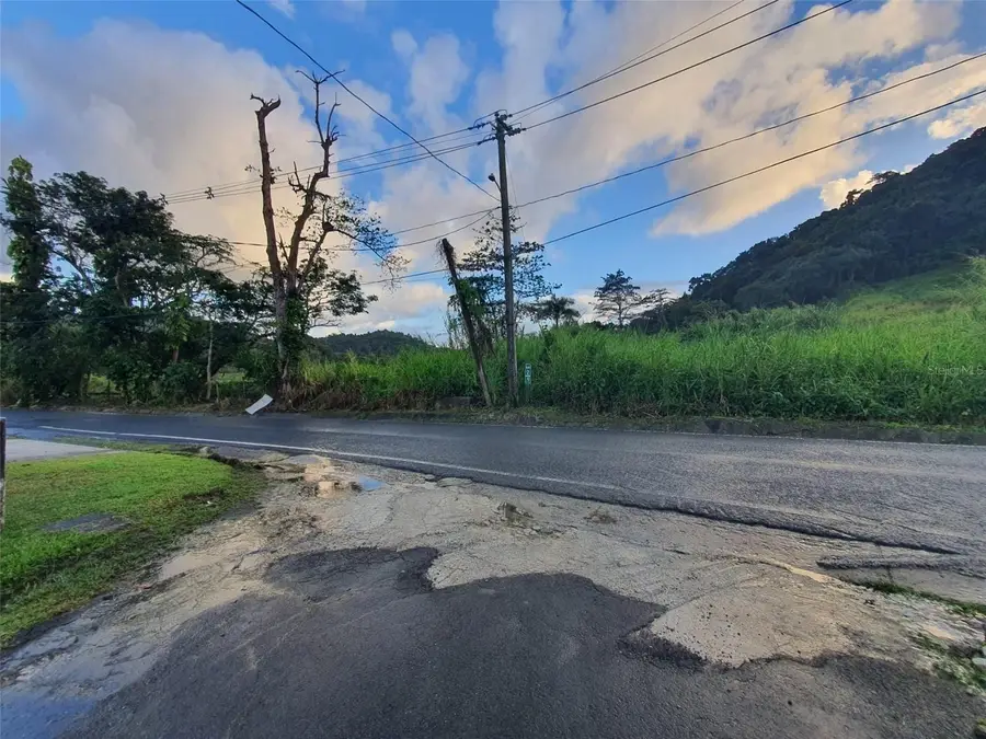 Carr 191, Naguabo, PR 00718 - #3