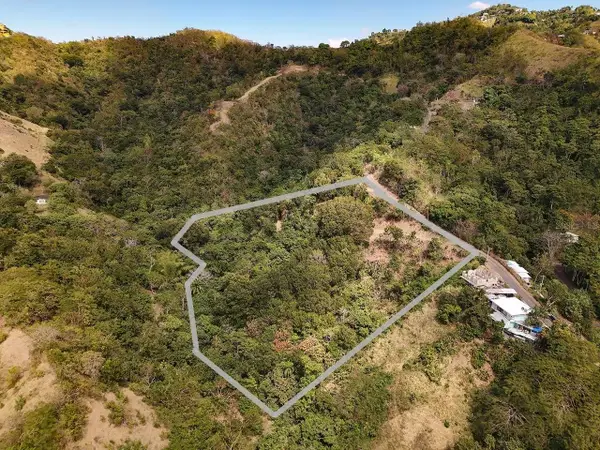 Carr.115 Km. 4.5 Interior, ANASCO, PR 00610