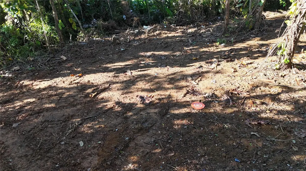 186 Camino Los Reyes, Canovanas, PR 00729 - #1