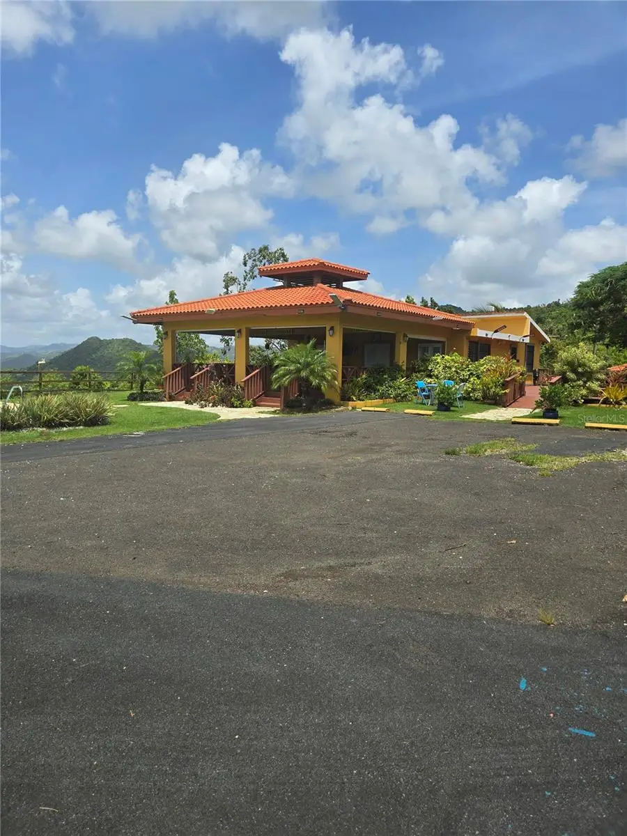 Bo Pulguillas, Carr. 723, Coamo, PR 00769 - #1