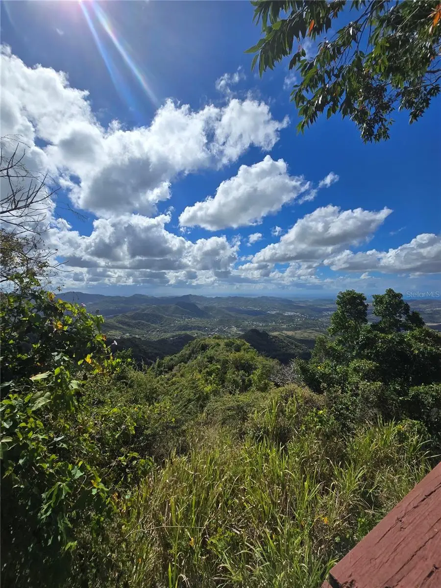 Bo Pulguillas, Carr. 723, Coamo, PR 00769 - #3