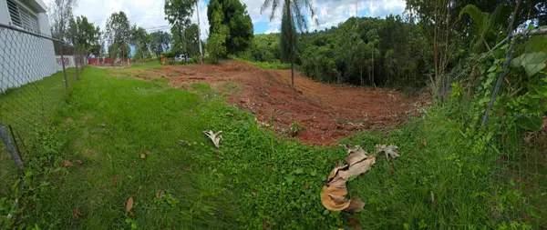 Address Withheld By Seller, MAYAGUEZ, PR 00680