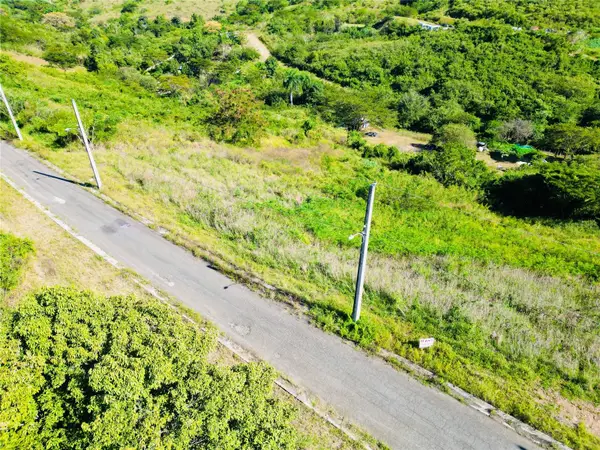 Urb.vistas Del Rodadero, YAUCO, PR 00698