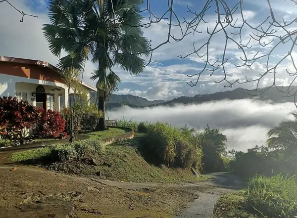 612 St. Bo. Don Alonso Sector Bujosa #1, UTUADO, PR 00641