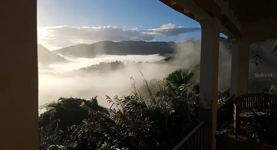 612 St. Bo. Don Alonso Sector Bujosa #1, Utuado, PR 00641 - #2