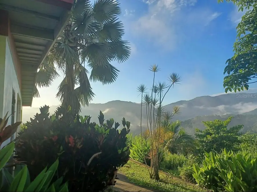 612 St. Bo. Don Alonso Sector Bujosa #1, Utuado, PR 00641 - #3