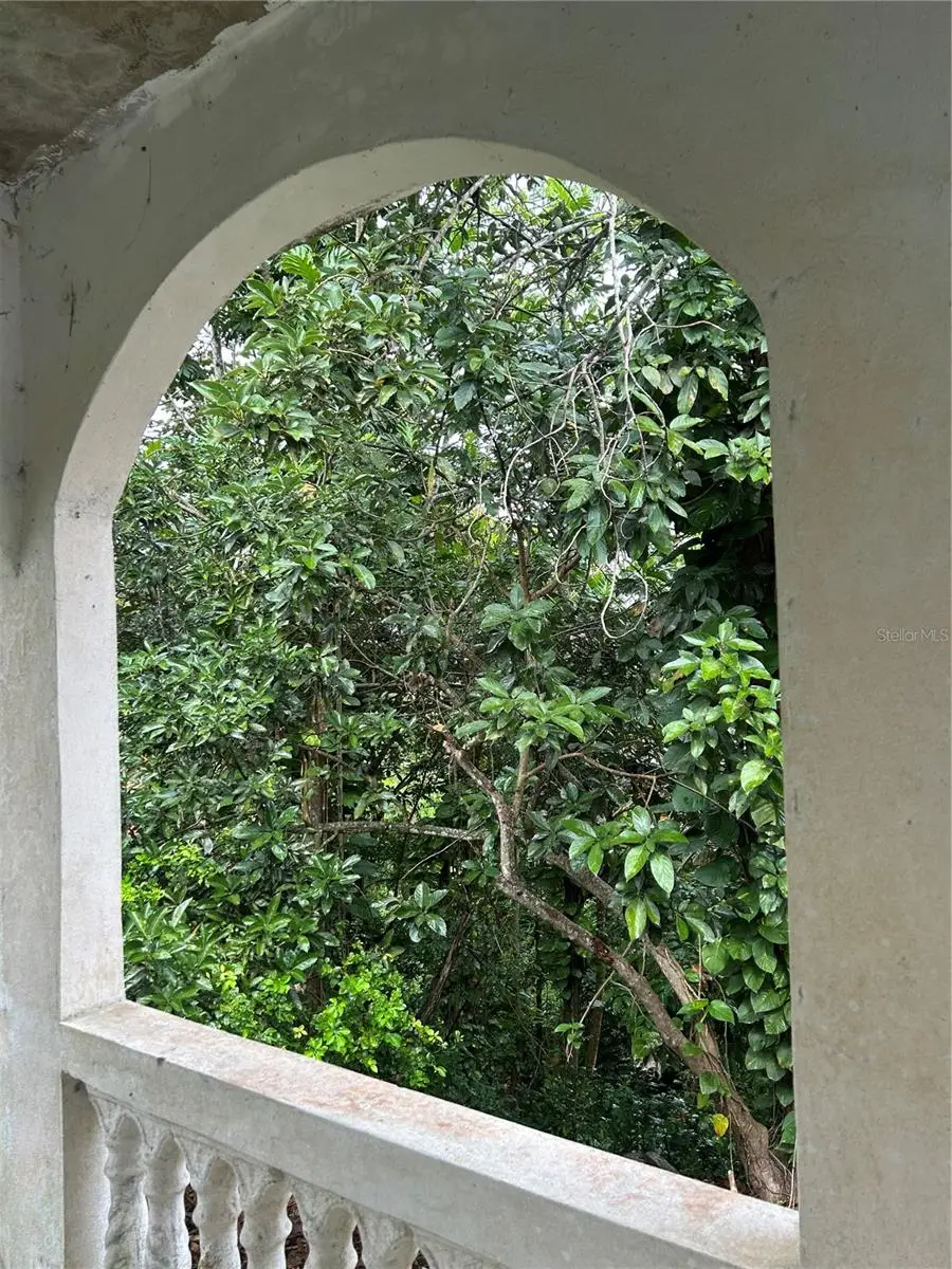 Bo Guaraguao Parcelas Lpez Cases #26, Guaynabo, PR 00966 - #3