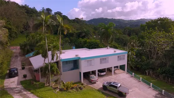 Camino Pellin Cruz Camino Pellin Cruz, TRUJILLO ALTO, PR 00976