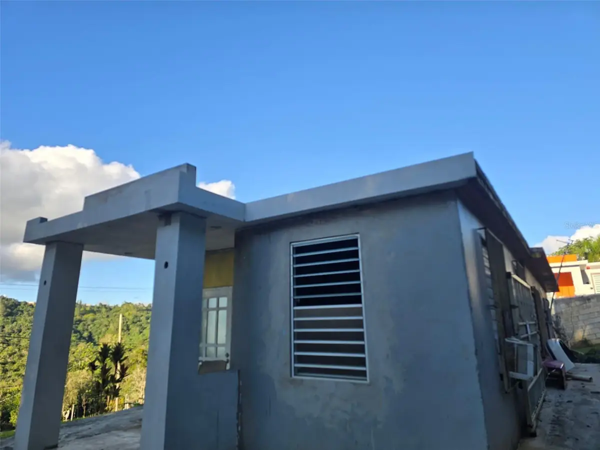 780 St. Km.0.9 Bo Palomas, Comerio, PR 00782 - #1