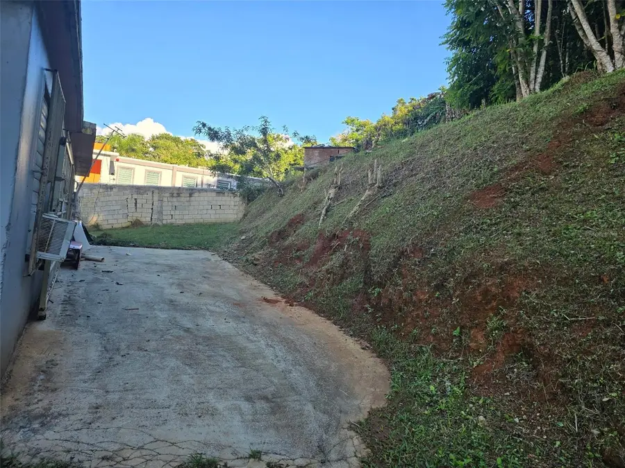 780 St. Km.0.9 Bo Palomas, Comerio, PR 00782 - #3