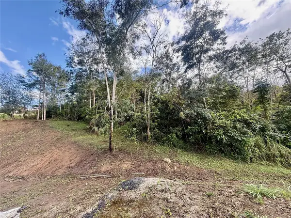 Bo Rincn Lomas, CAYEY, PR 00736