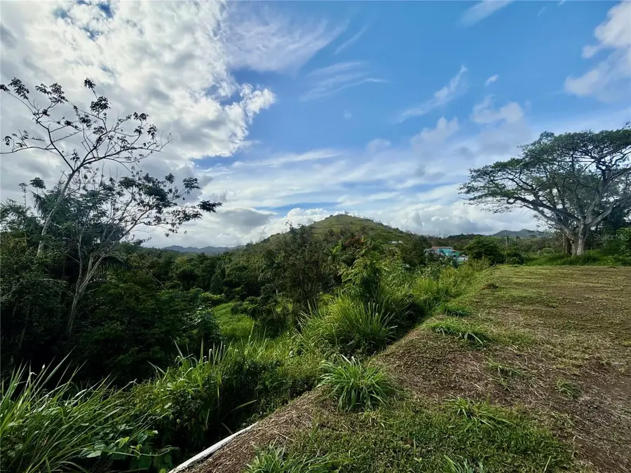 Bo Rincn Lomas, Cayey, PR 00736 - #2