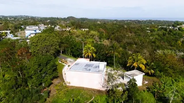 0 Bo Cruces, Carr. 115 Ramal 4414 Km Hm 2.5 Road, Aguada, PR 00602 - #3