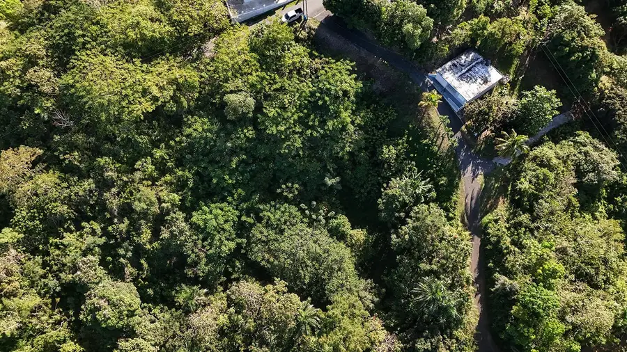 BO. CRUCES Carr 414 Km. Hm. 0.5, Rincon, PR 00677 - #3