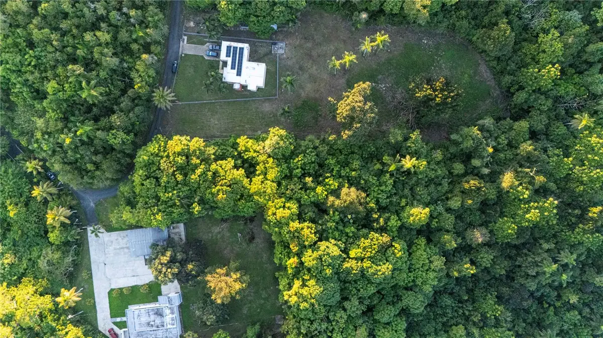 Barrio Candelaria, Vega Alta, PR 00692 - #1