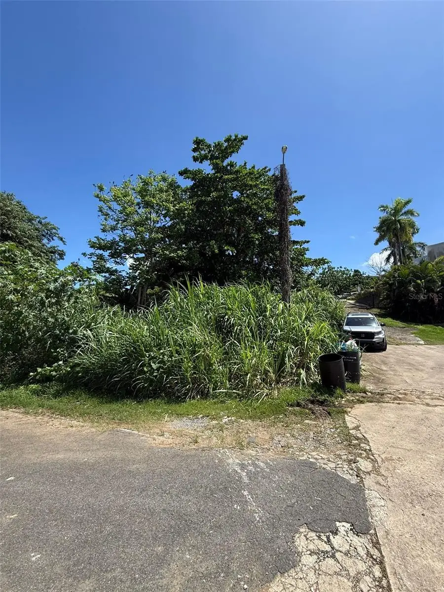 833 Carretera Santa Rosa #KM 11.5, Guaynabo, PR 00969 - #3