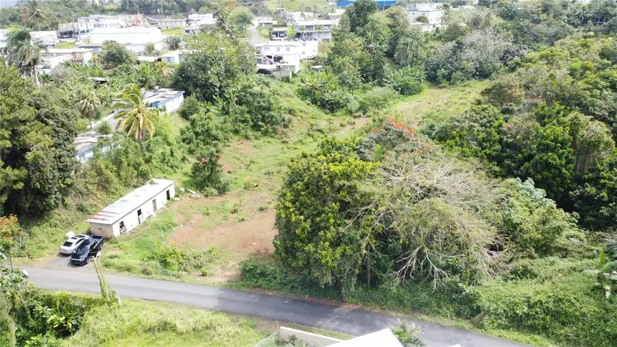 CARR 173 Sumidero #4, Aguas Buenas, PR 00703 - #3