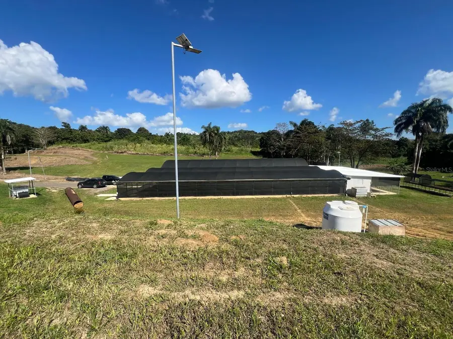 Pugnado Adentro, Morovis, PR 00687 - #2