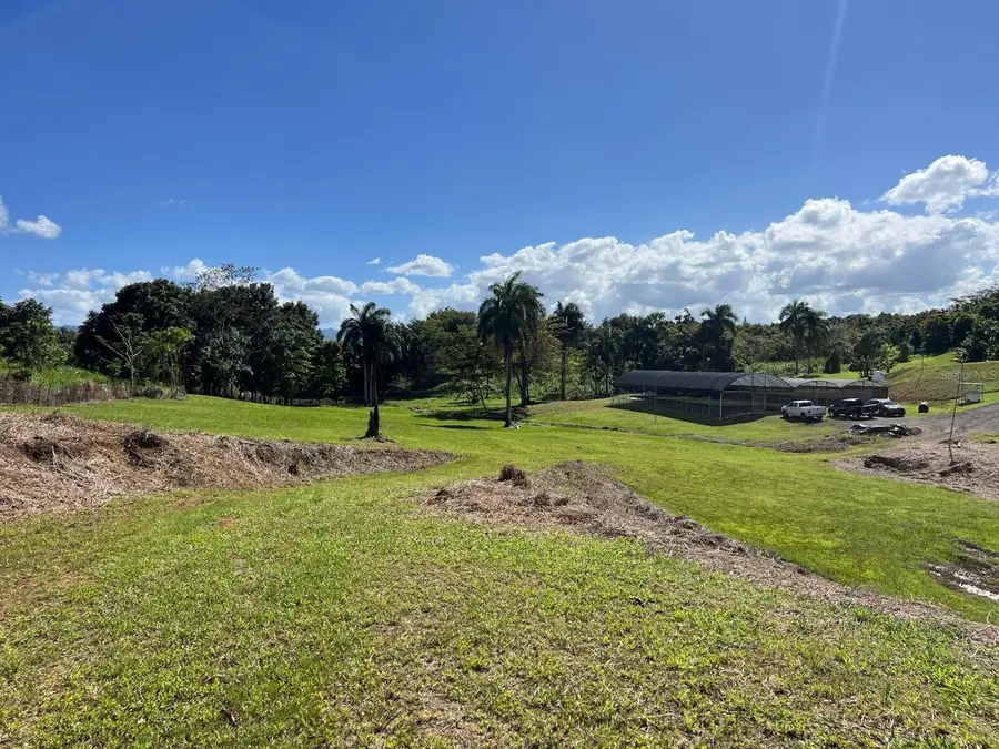 Pugnado Adentro, Morovis, PR 00687 - #3