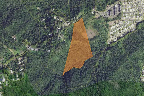 PR 7784 Km 1.0 Turabo, CAGUAS, PR 00725