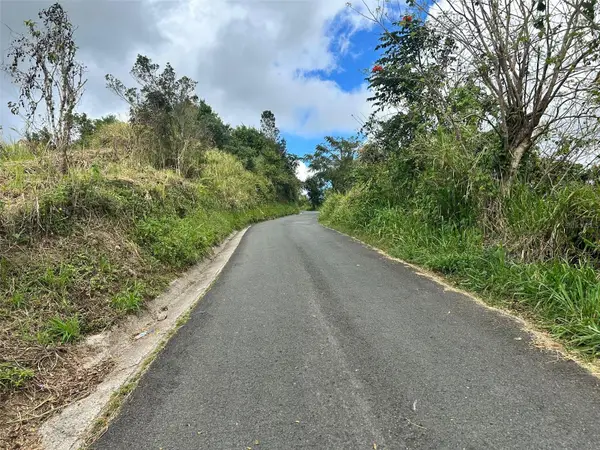 Carr. 723,2.3 Int., AIBONITO, PR 00705