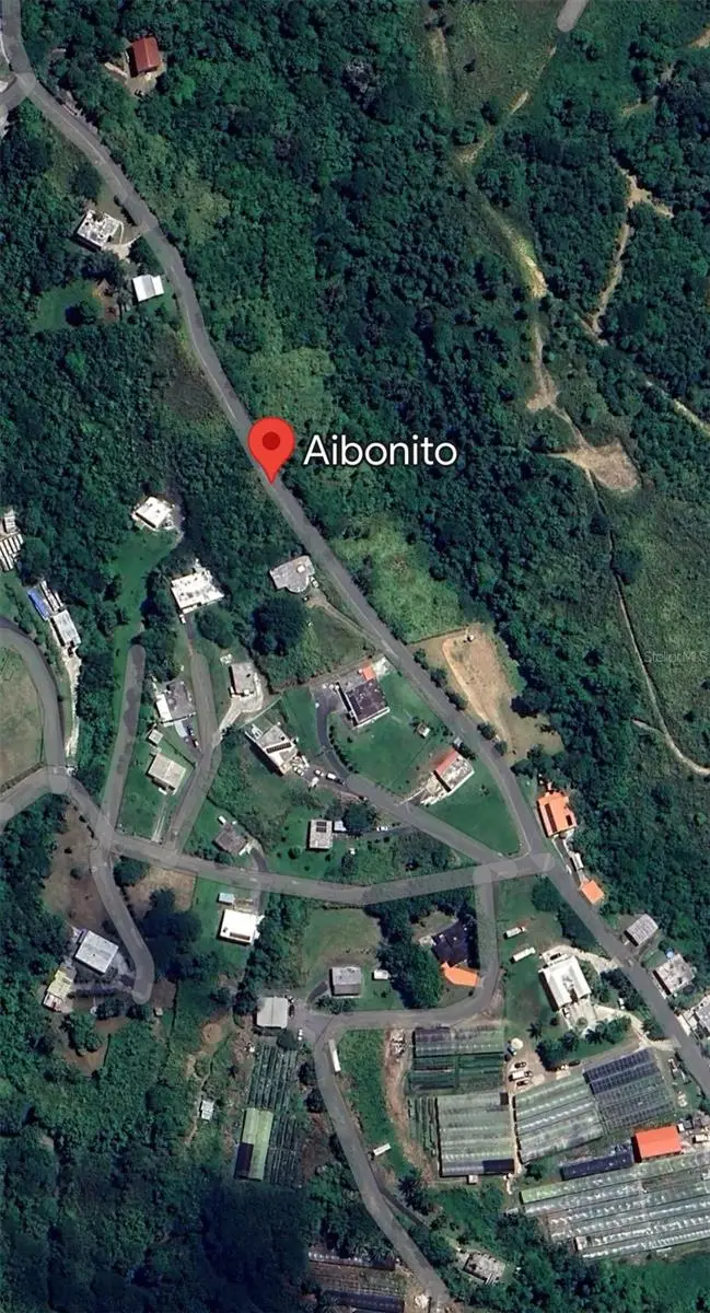 Carr. 723,2.3 Int., Aibonito, PR 00705 - #2